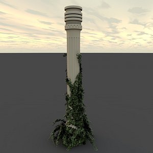 Column with ivy
