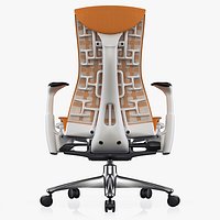 Office Chair Herman Miller Embody