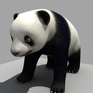panda 3D model