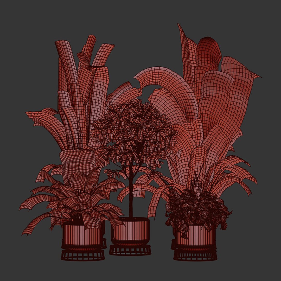 plant vol 809 - indoor - leaf - monstera - peace - lily - pothos model https://p.turbosquid.com/ts-thumb/iJ/RMCxua/Qw/6/jpg/1767216768/1920x1080/fit_q87/ef7b89f85ea7e765b161ceaaade1f8721f62f9b9/6.jpg