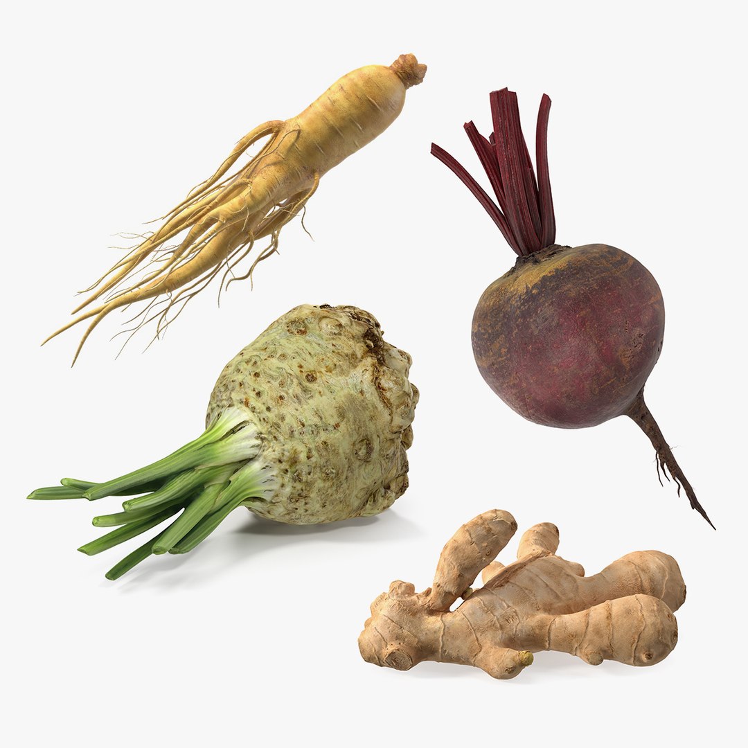 Roots Collection 2 3D model preview
