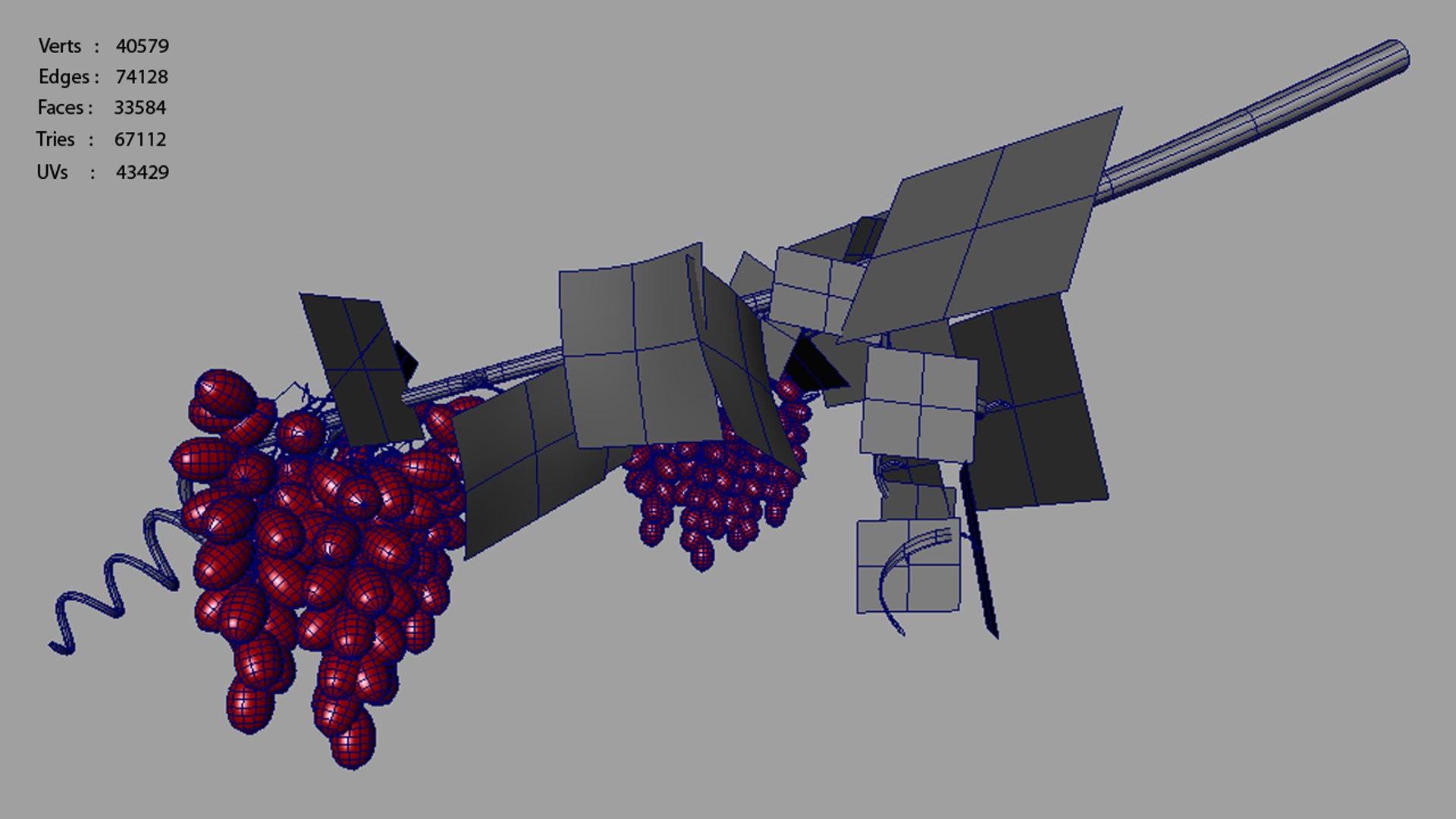 3d Model Grapes
