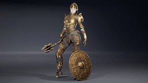 Femail Knight in bronze armour