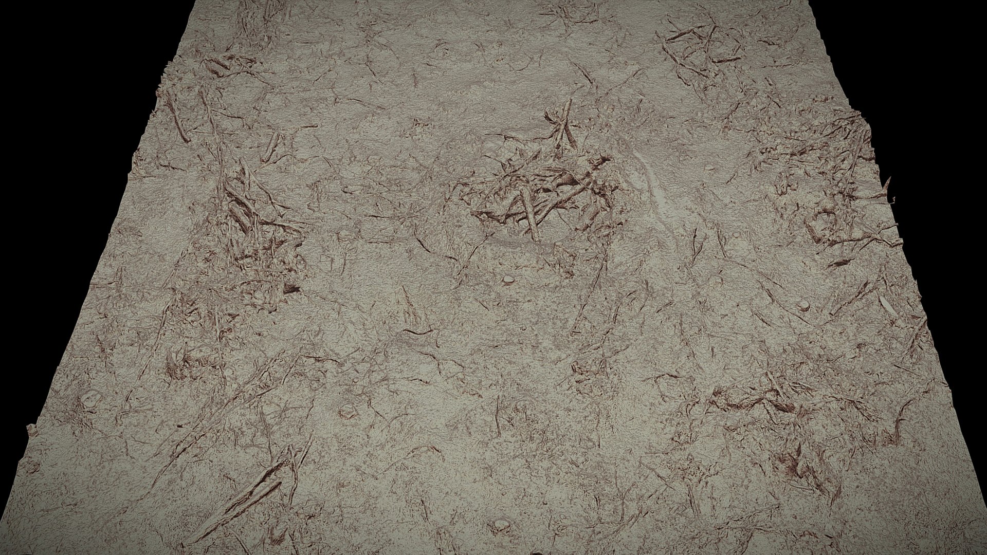3D Model Forest Ground Cuted Tree Branches Pt3 Photogrammetry ...