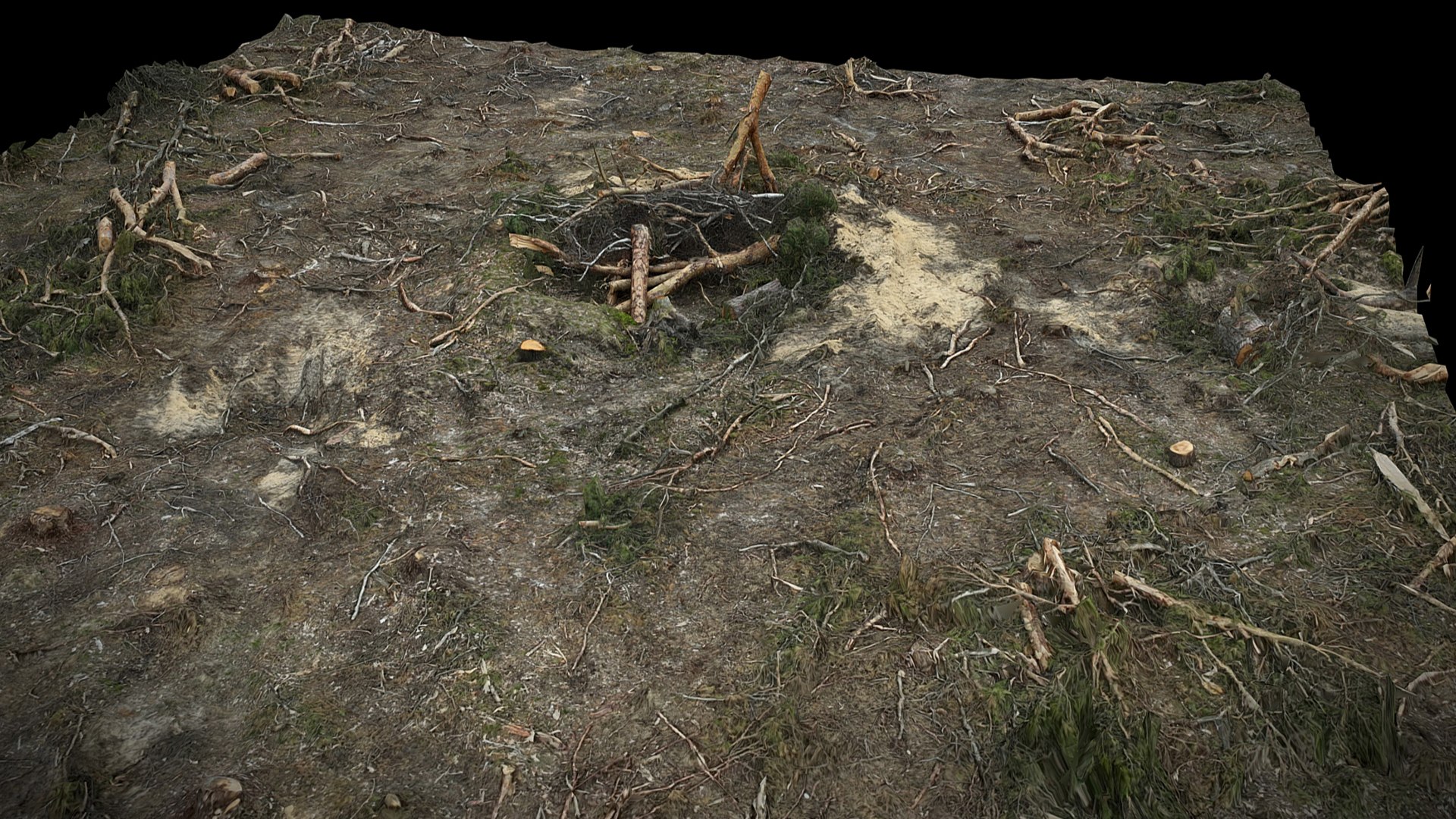3D Model Forest Ground Cuted Tree Branches Pt3 Photogrammetry ...