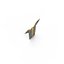 Gold Zipper And Slider