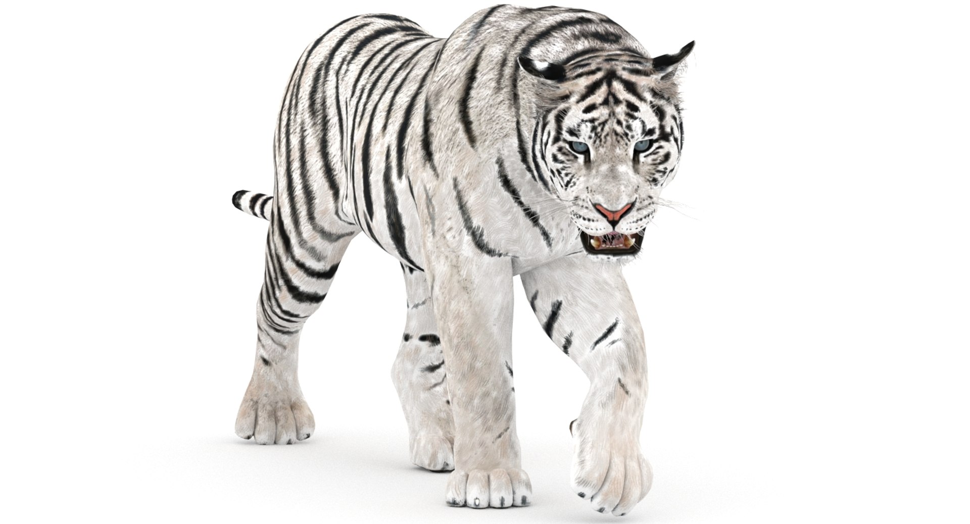 Cartoon Tiger White and Natural 3D Model $39 - .max .fbx .obj .3ds - Free3D
