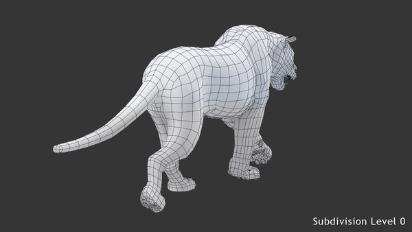 3d White Tiger Animation Turbosquid 1444091