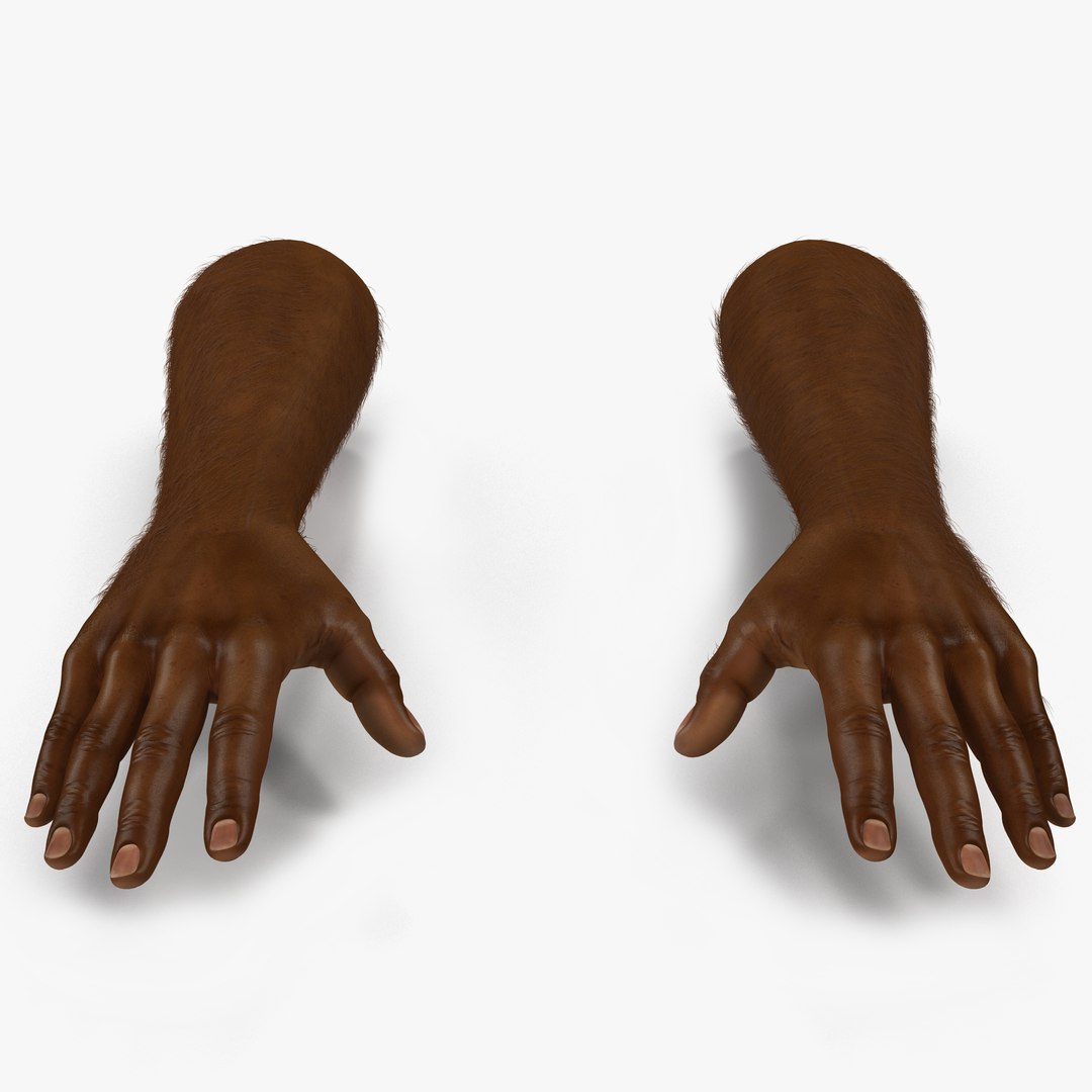 African Man Hands with Fur Pose 2 3D Model 3D model preview