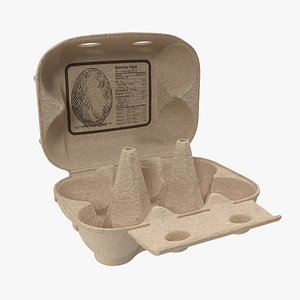 3D carton eggs cardboard opened model