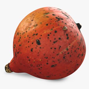 3D Hokkaido Pumpkin model