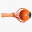 Cross Section Eye Anatomy