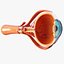 Cross Section Eye Anatomy