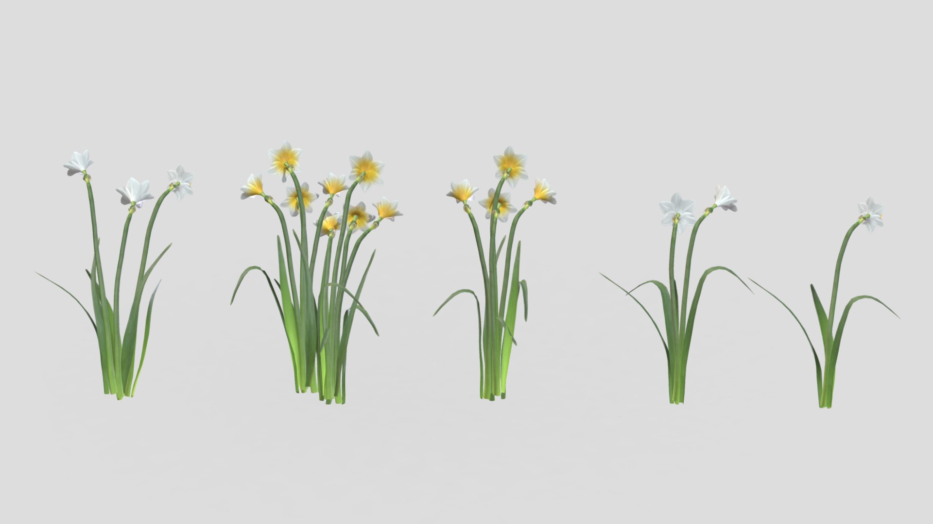 3D Cool Flame Flower Low Poly - TurboSquid 2317664