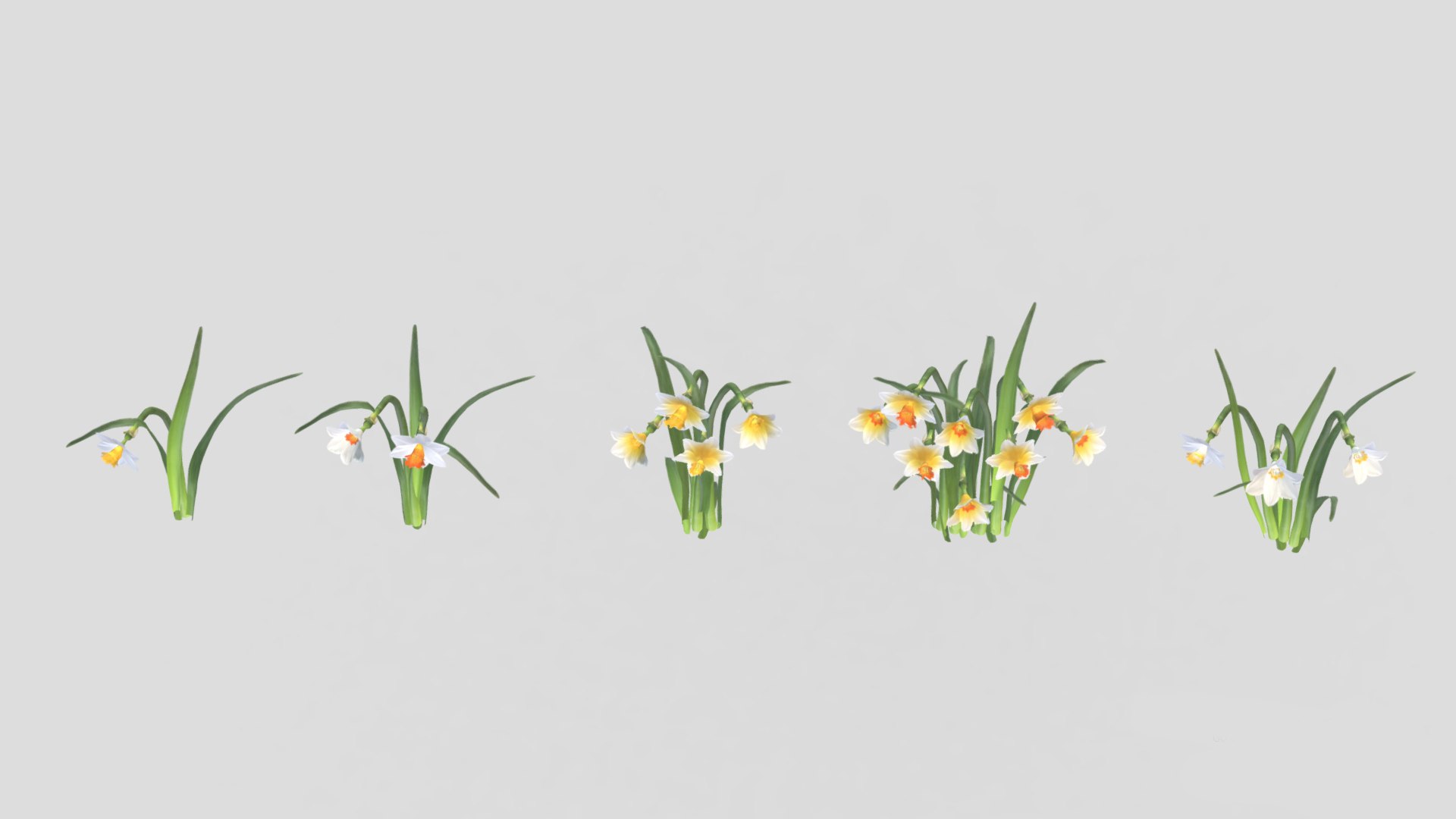 3D Cool Flame Flower Low Poly - TurboSquid 2317664