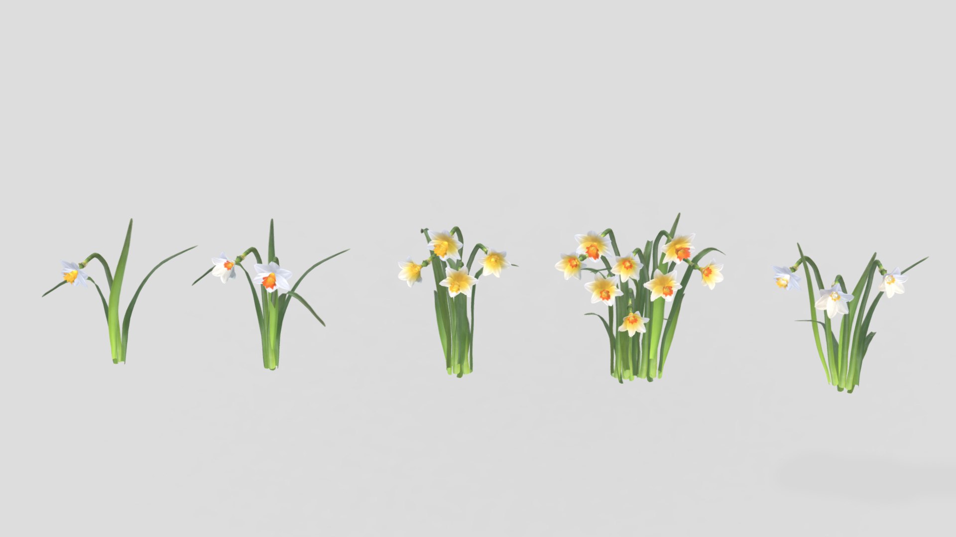 3D Cool Flame Flower Low Poly - TurboSquid 2317664