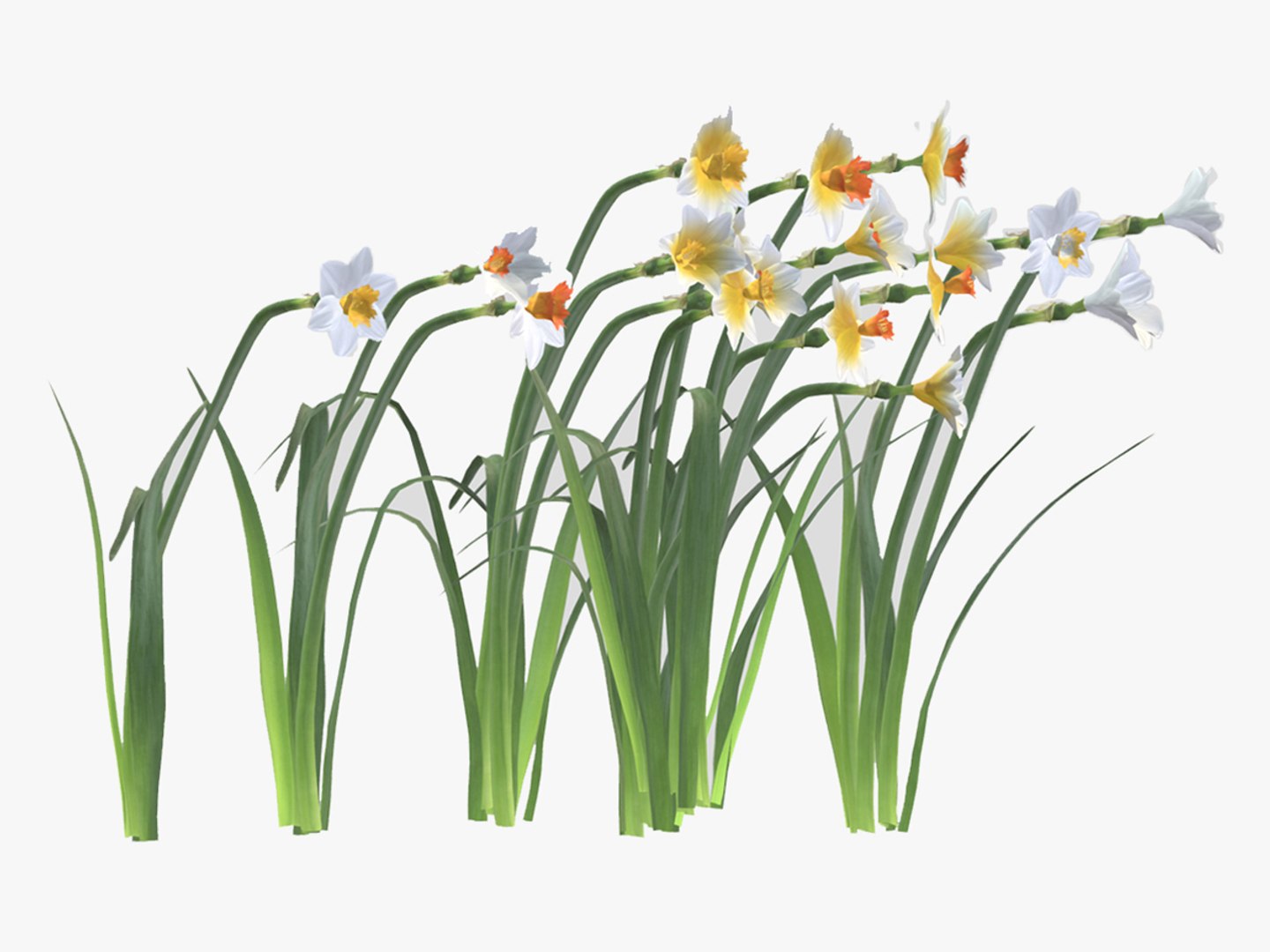 3D Cool Flame Flower Low Poly - TurboSquid 2317664