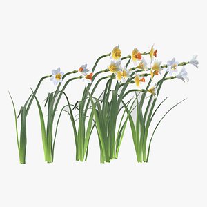 3D Cool Flame Flower Low Poly