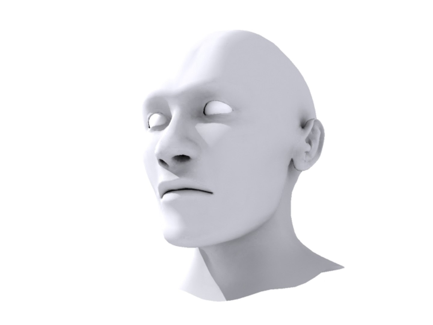 3d Generic Male Head