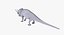Chameleon2