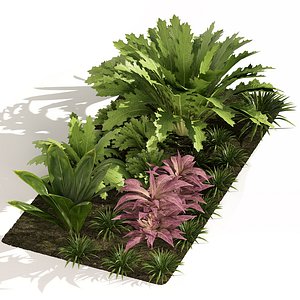 Colorful Tropical Oasis