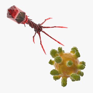 3D Bacteriophage with Measles Virus Collection