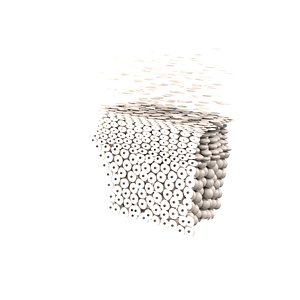 3D skin cells