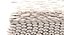 Skin Cells (Epidermis)