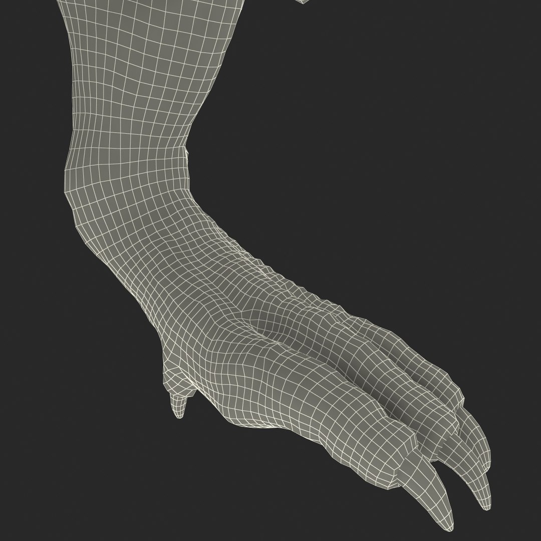 tarbosaurus pose 2 obj https://p.turbosquid.com/ts-thumb/iL/E1ZtpO/8a8heuWp/tarbosauruspose2_34/jpg/1383287919/1920x1080/fit_q87/4a896c9c465e99f52b8b0a645c68dbe76c8b4a7f/tarbosauruspose2_34.jpg