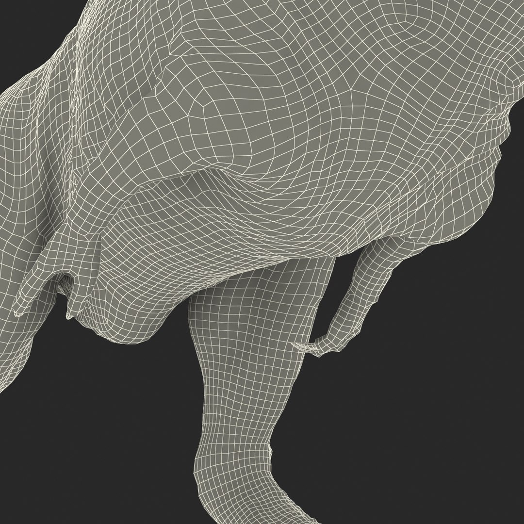 tarbosaurus pose 2 obj https://p.turbosquid.com/ts-thumb/iL/E1ZtpO/C8rOI3TW/tarbosauruspose2_30/jpg/1383287908/1920x1080/fit_q87/7f2ce92073c736abe488d01e48f78e03ce823a02/tarbosauruspose2_30.jpg