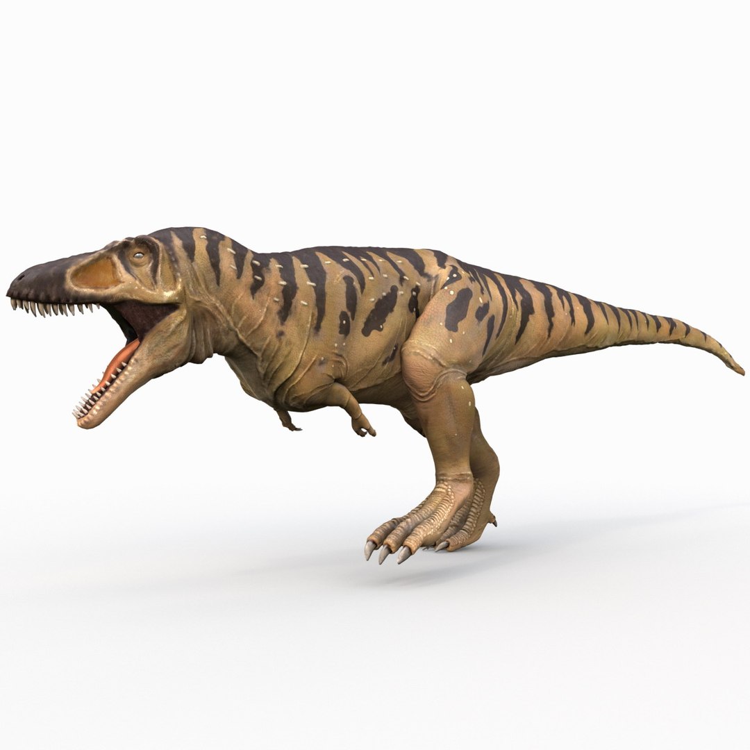 tarbosaurus pose 2 obj https://p.turbosquid.com/ts-thumb/iL/E1ZtpO/P9MWqnLQ/tarbosauruspose2_8/jpg/1383287839/1920x1080/fit_q87/3d8221e4ecfc9c17329f6ae36d334a3ad81bdbff/tarbosauruspose2_8.jpg