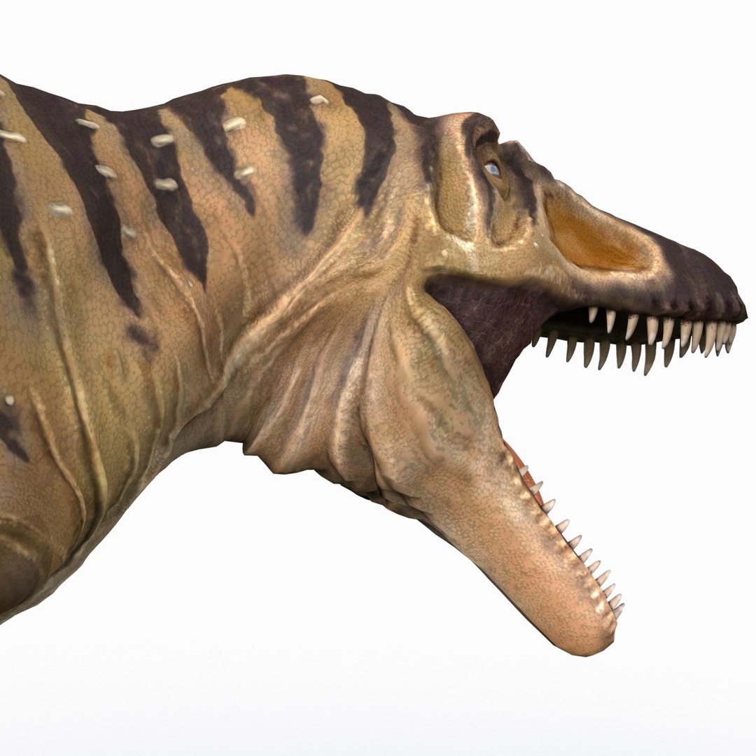 tarbosaurus pose 2 obj https://p.turbosquid.com/ts-thumb/iL/E1ZtpO/Pz4us5LZ/tarbosauruspose2_20/jpg/1383287882/1920x1080/fit_q87/f11138f6d036312b5521aa90a7eaf6985e7bf18f/tarbosauruspose2_20.jpg