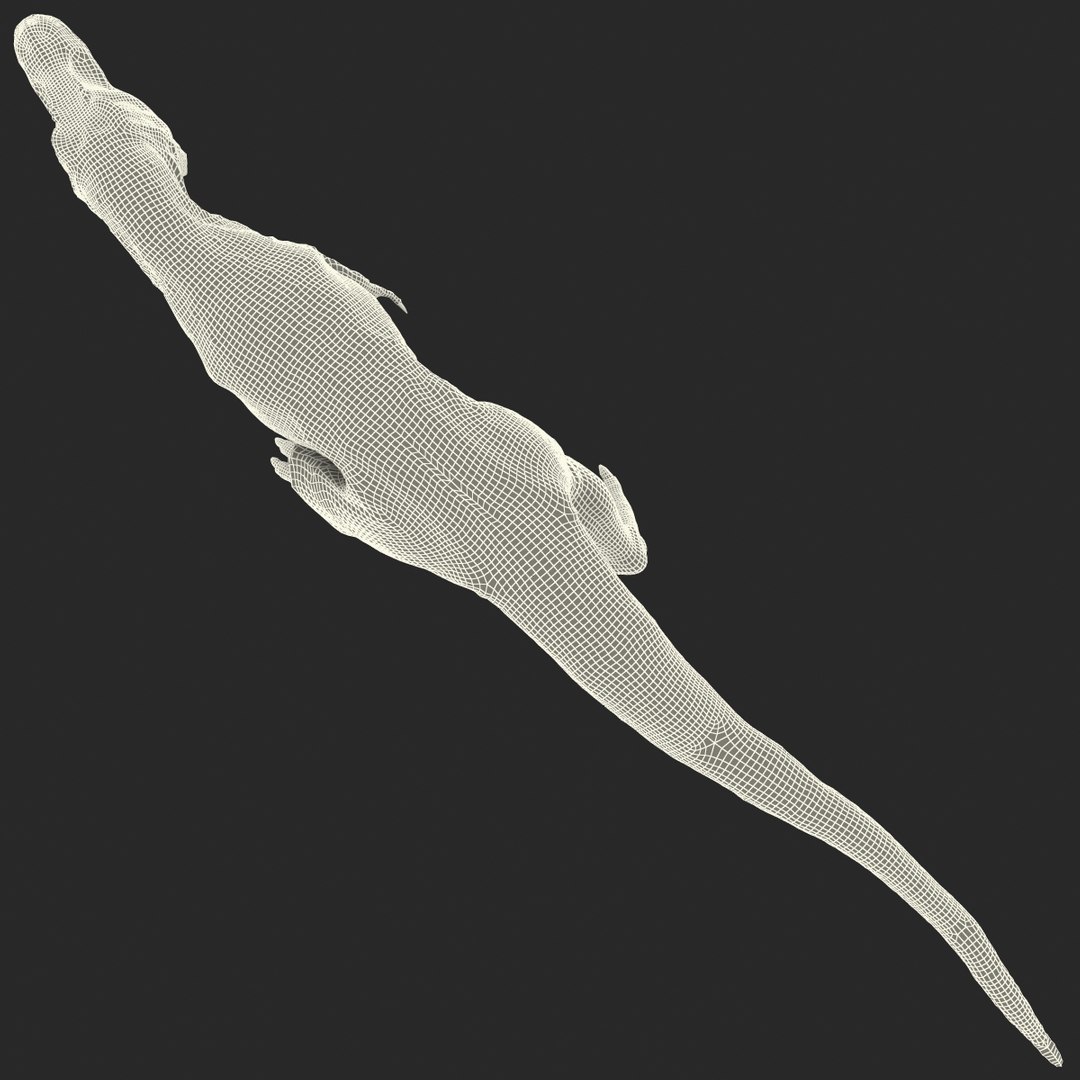 tarbosaurus pose 2 obj https://p.turbosquid.com/ts-thumb/iL/E1ZtpO/Sh6QoQ2Q/tarbosauruspose2_28/jpg/1383287902/1920x1080/fit_q87/93e453e76439243e59505fe7868d35a65dbd578b/tarbosauruspose2_28.jpg