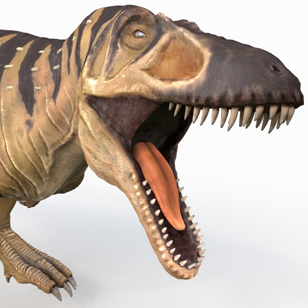 tarbosaurus pose 2 obj https://p.turbosquid.com/ts-thumb/iL/E1ZtpO/VemVICCZ/tarbosauruspose2_14/jpg/1383287861/1920x1080/fit_q87/4d976e0f275962a34472c833b331bc0c989edda7/tarbosauruspose2_14.jpg
