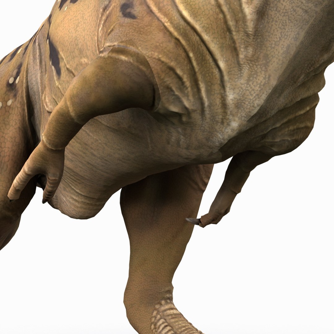 tarbosaurus pose 2 obj https://p.turbosquid.com/ts-thumb/iL/E1ZtpO/WRhNhhg9/tarbosauruspose2_15/jpg/1383287865/1920x1080/fit_q87/1c66854a4d94dd0805fe231bd39188b44ce2e339/tarbosauruspose2_15.jpg