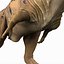 Tarbosaurus Pose 2