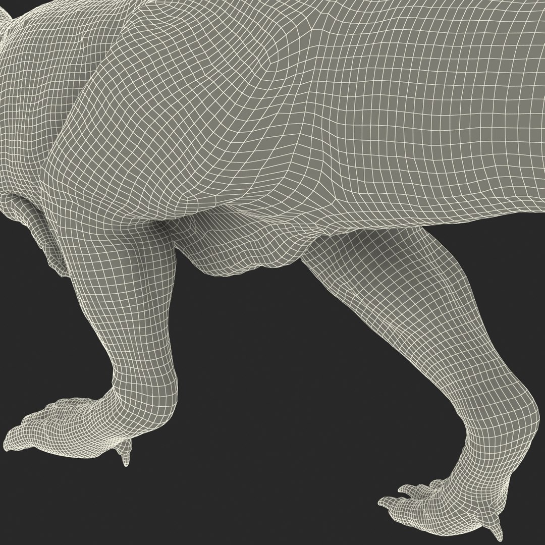 tarbosaurus pose 2 obj https://p.turbosquid.com/ts-thumb/iL/E1ZtpO/YZnqJ2Jh/tarbosauruspose2_32/jpg/1383287913/1920x1080/fit_q87/efdf45e3df1afb3b52e6b9423328bdb73401f411/tarbosauruspose2_32.jpg