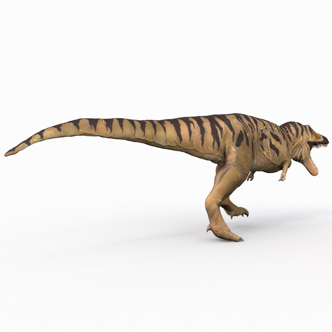 tarbosaurus pose 2 obj https://p.turbosquid.com/ts-thumb/iL/E1ZtpO/gIq2AMN3/tarbosauruspose2_11/jpg/1383287862/1920x1080/fit_q87/8f12554bc186ea643935bcb95d80bdc11154b363/tarbosauruspose2_11.jpg
