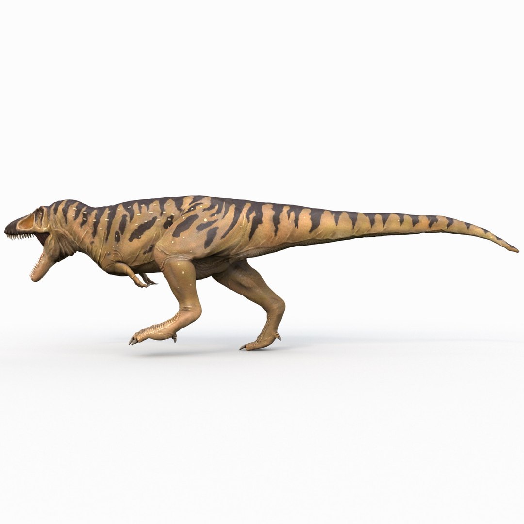 tarbosaurus pose 2 obj https://p.turbosquid.com/ts-thumb/iL/E1ZtpO/jOxUJRm2/tarbosauruspose2_7/jpg/1383287836/1920x1080/fit_q87/53d8659acd5ef83aebc0fb5009ca38c1459d7a0d/tarbosauruspose2_7.jpg