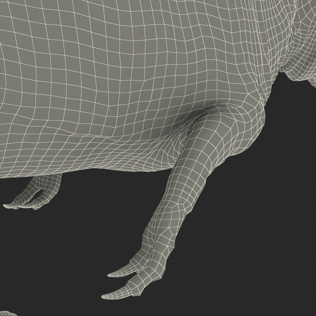 tarbosaurus pose 2 obj https://p.turbosquid.com/ts-thumb/iL/E1ZtpO/jgsehsYr/tarbosauruspose2_33/jpg/1383287929/1920x1080/fit_q87/82450927464a91b3720c0e9277511cad8ba3f24b/tarbosauruspose2_33.jpg
