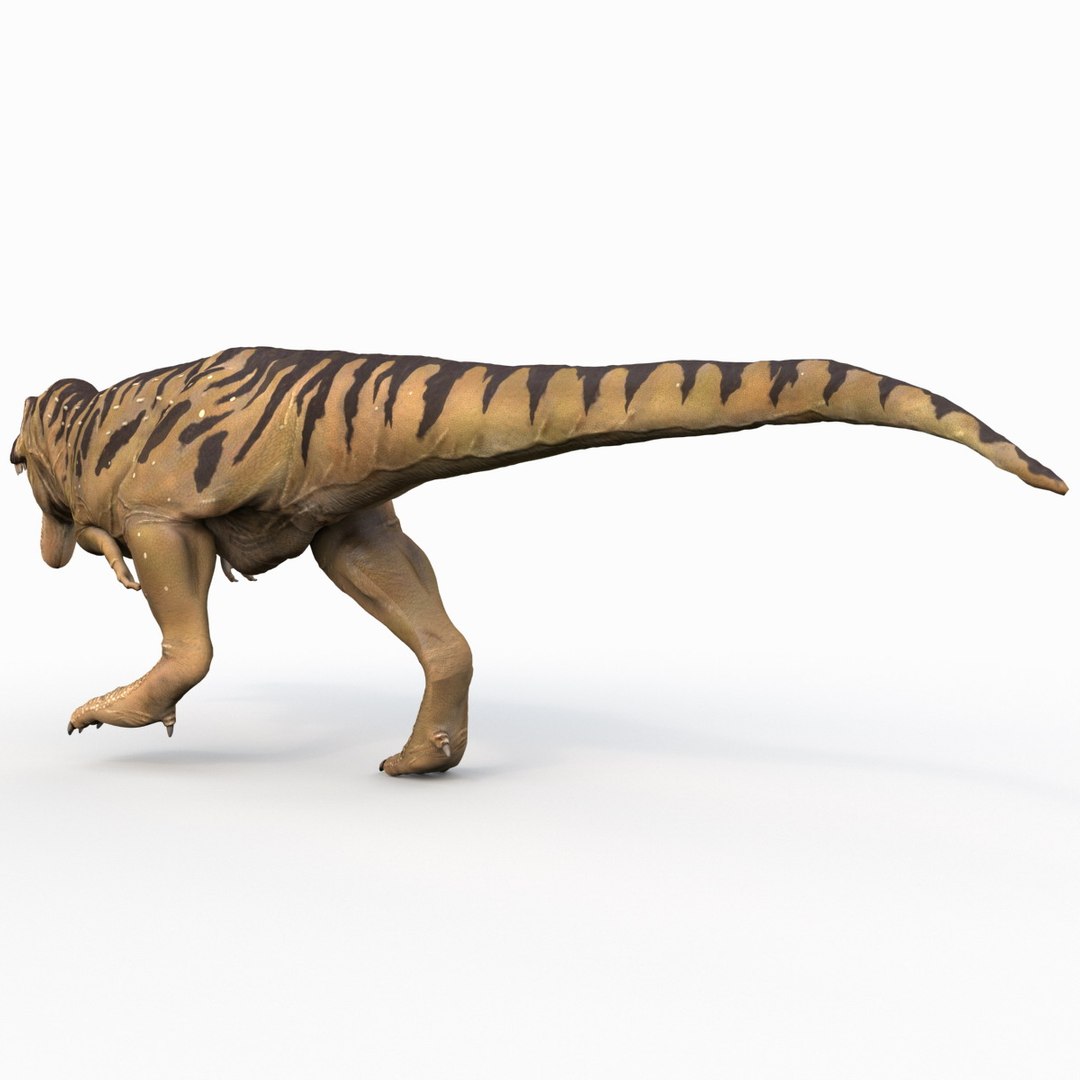tarbosaurus pose 2 obj https://p.turbosquid.com/ts-thumb/iL/E1ZtpO/mph8qLEq/tarbosauruspose2_12/jpg/1383287865/1920x1080/fit_q87/e3544a612dead9b57f285dfcff13ee26fa33c829/tarbosauruspose2_12.jpg