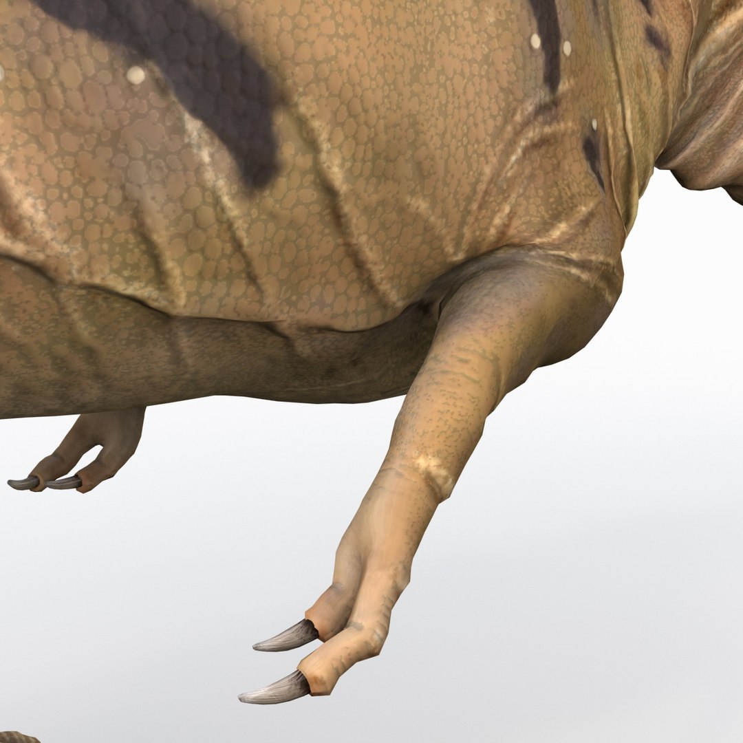 tarbosaurus pose 2 obj https://p.turbosquid.com/ts-thumb/iL/E1ZtpO/ntBU7chl/tarbosauruspose2_18/jpg/1383287876/1920x1080/fit_q87/0c6a9f2b9a7ab537c3210b1722a581b0983cc67a/tarbosauruspose2_18.jpg