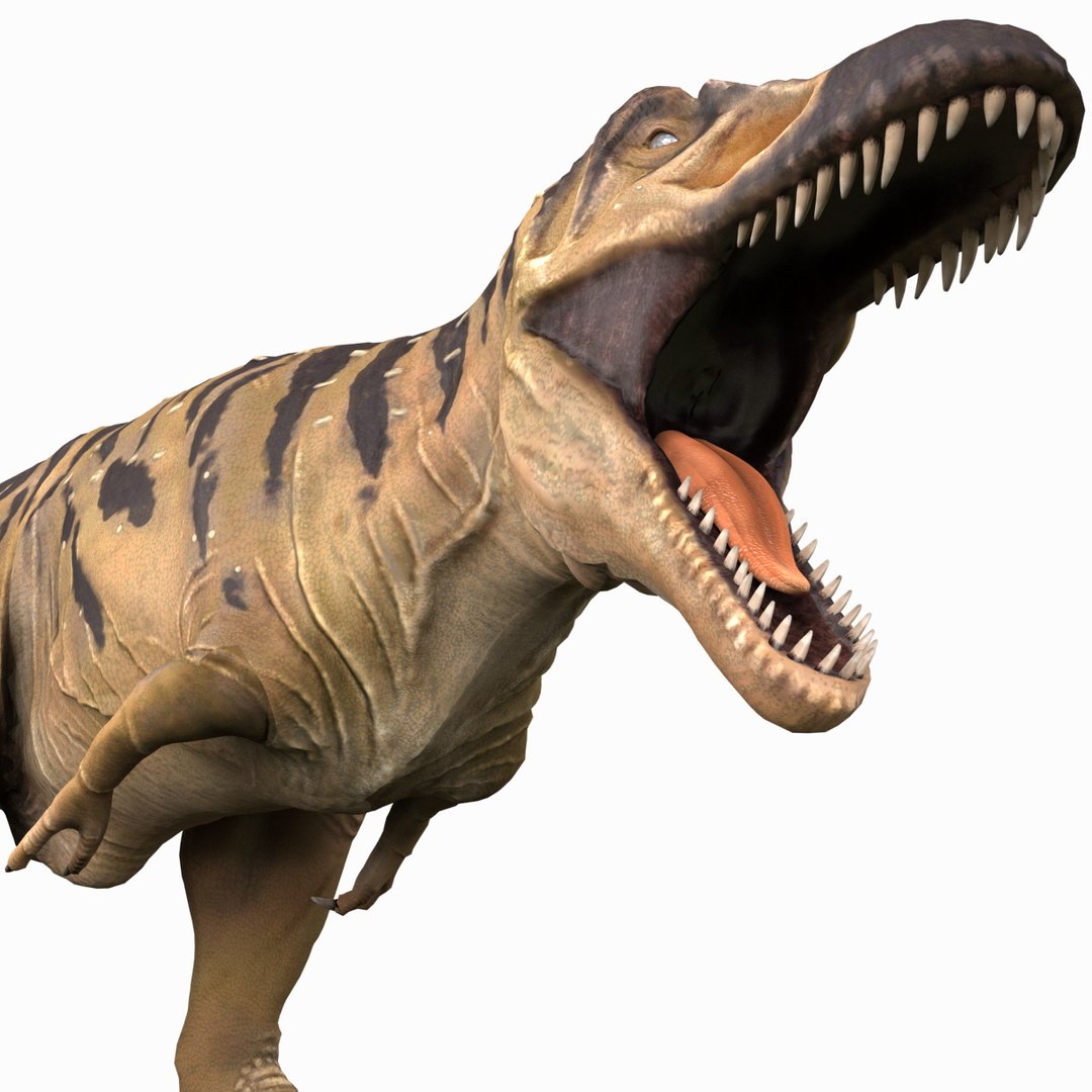 tarbosaurus pose 2 obj https://p.turbosquid.com/ts-thumb/iL/E1ZtpO/tuVXJXGB/tarbosauruspose2_21/jpg/1383287884/1920x1080/fit_q87/fa6ec39fd98813fdefc0ca368ab0776bb8940c7b/tarbosauruspose2_21.jpg