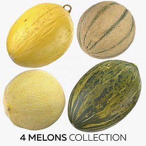 3D 4 melons model