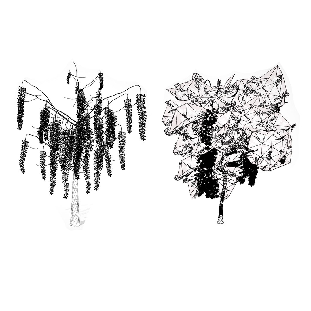 Cassia Fistula Tree Model 3D https://p.turbosquid.com/ts-thumb/iL/V3blQu/8e/wire/jpg/1729175898/1920x1080/fit_q87/1e1faa07cc17314ff2cf333a96fb5d4cbe3be090/wire.jpg