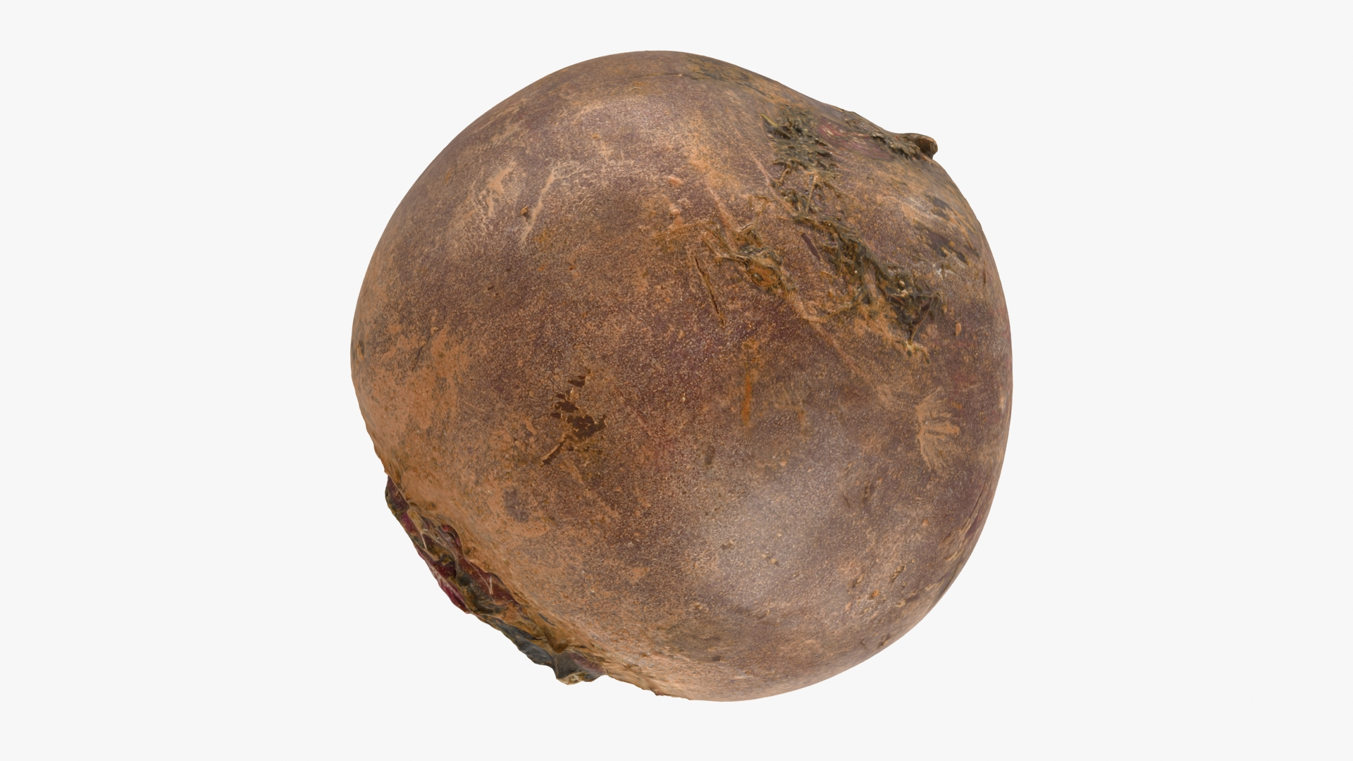 3D Beetroot https://p.turbosquid.com/ts-thumb/iL/abtfRG/1u/beetroott2/jpg/1651065828/1920x1080/turn_fit_q99/0a68a71f5fc649e922e060f0148be0f32daf7e8e/beetroott2-1.jpg