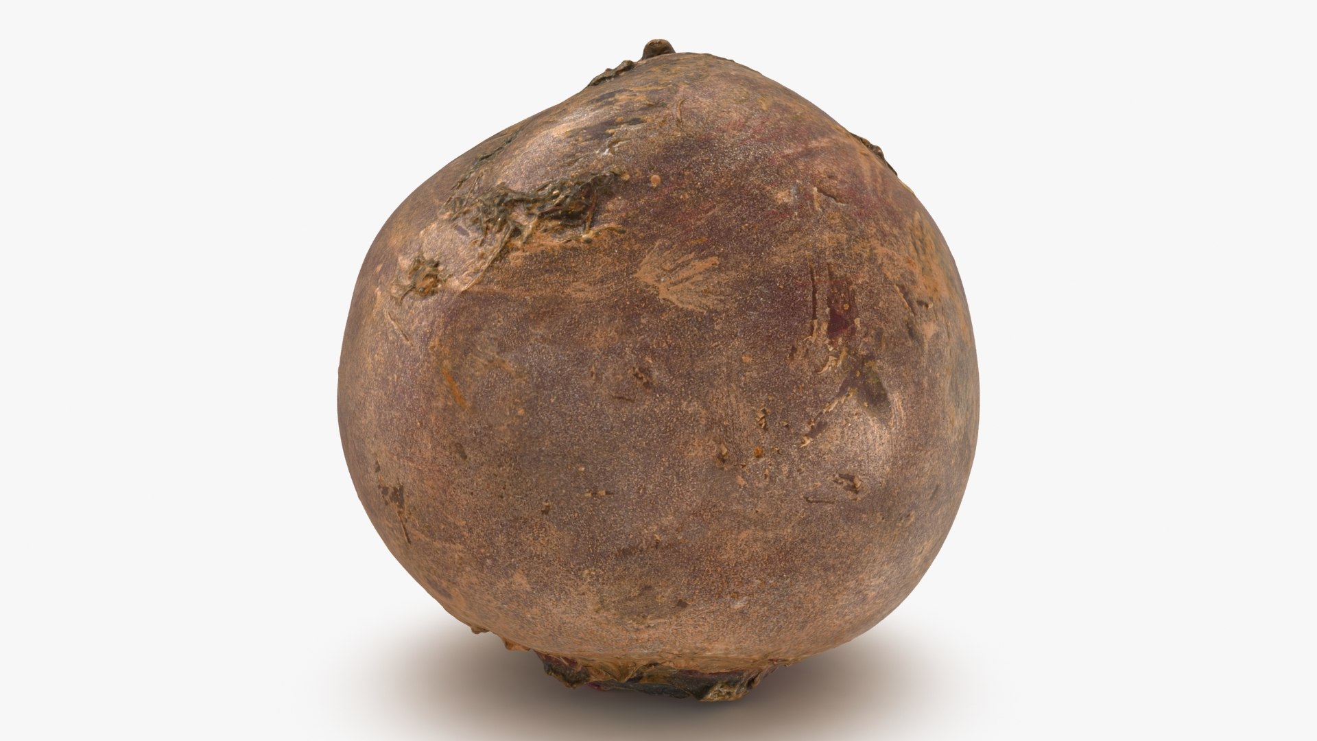 3D Beetroot https://p.turbosquid.com/ts-thumb/iL/abtfRG/7t/beetroot_b0023/jpg/1651065835/1920x1080/fit_q87/3ab8c3ad92d26c805fe15f72c8c1915c9dc68f31/beetroot_b0023.jpg