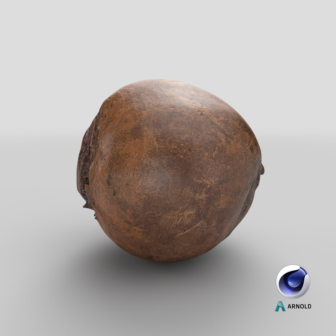 3D Beetroot https://p.turbosquid.com/ts-thumb/iL/abtfRG/8r/stemcell_cinema_4d_arnold_render/png/1653132823/1920x1080/fit_q87/65c01e6317aea1ab1d822823c4edc22264e35be6/stemcell_cinema_4d_arnold_render.jpg