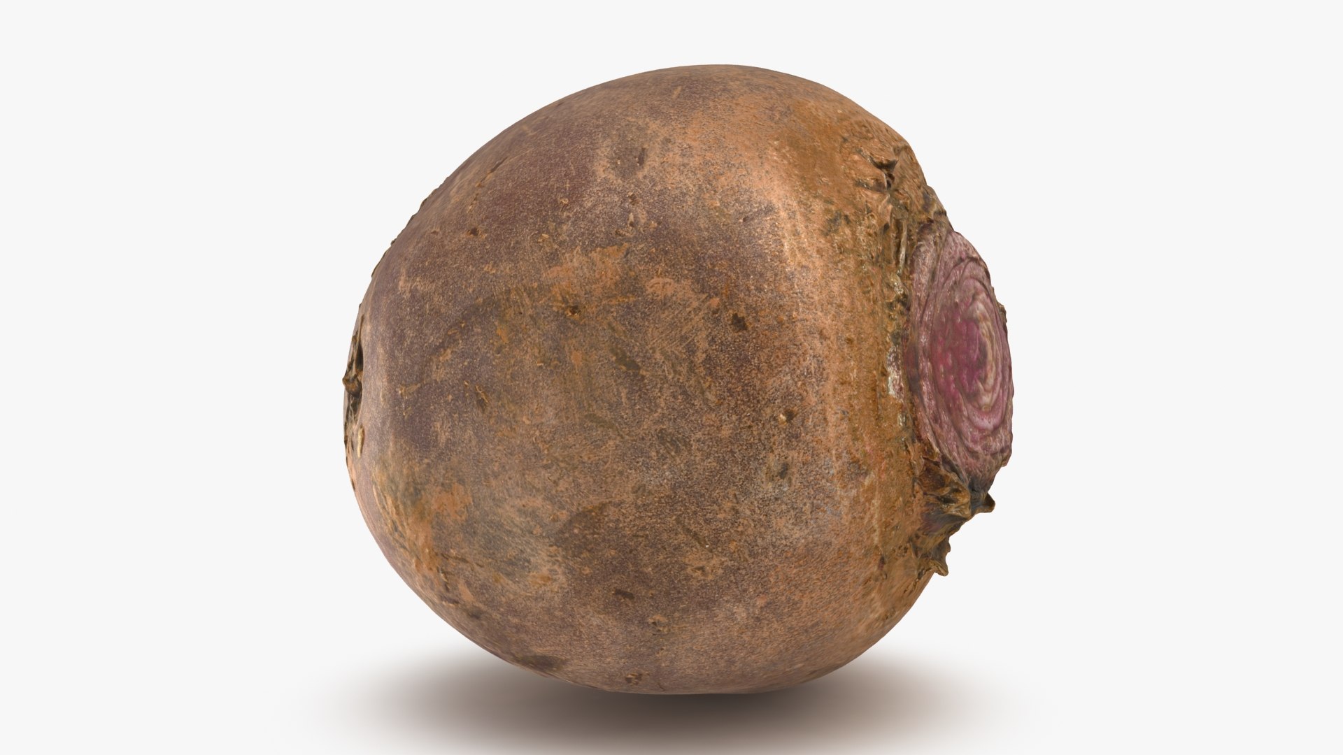 3D Beetroot https://p.turbosquid.com/ts-thumb/iL/abtfRG/Bn/beetroot_b0016/jpg/1651065826/1920x1080/fit_q87/b15140f284ffbd90496ee146ec8f30431c1225e7/beetroot_b0016.jpg