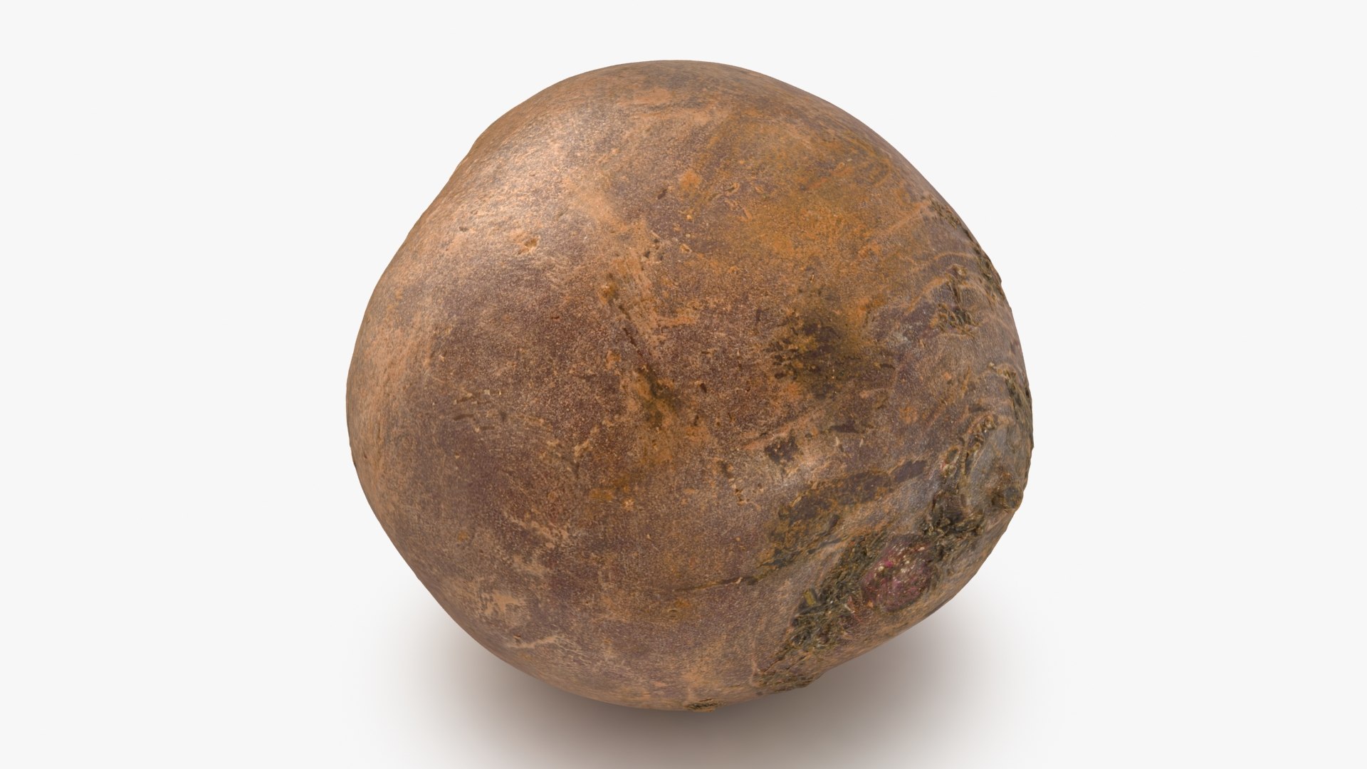 3D Beetroot https://p.turbosquid.com/ts-thumb/iL/abtfRG/F0/beetroot_b0014/jpg/1651065822/1920x1080/fit_q87/fff1314ed3923e561d2e83da6634d39ae6769351/beetroot_b0014.jpg